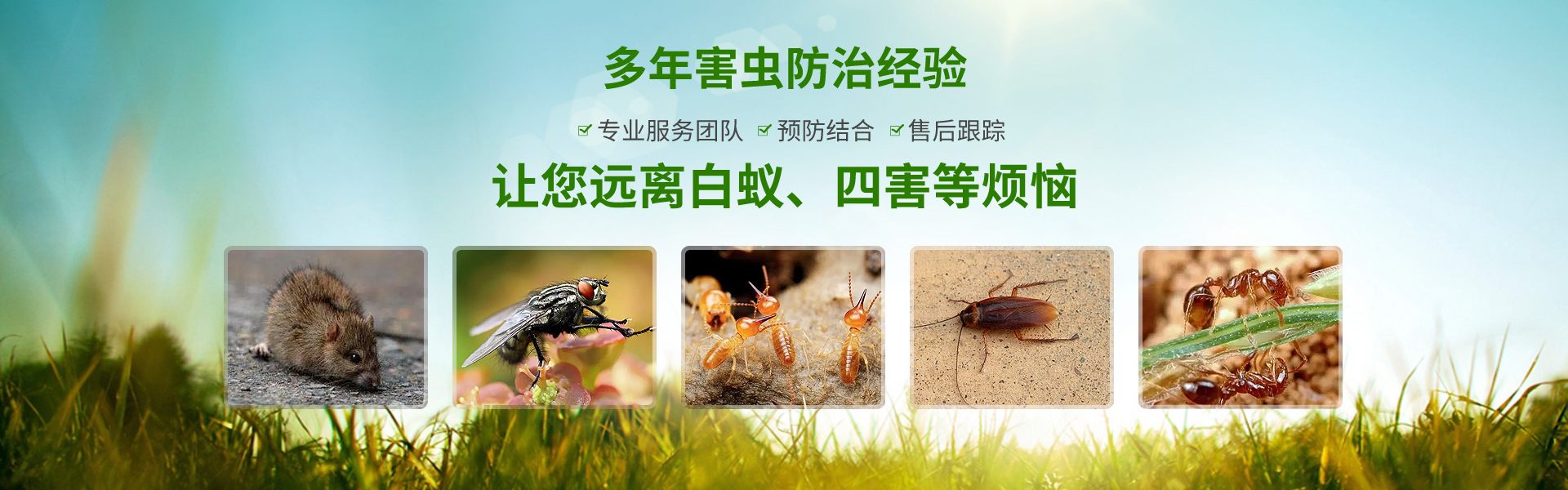 56677凤凰平台(中国游)官方网站