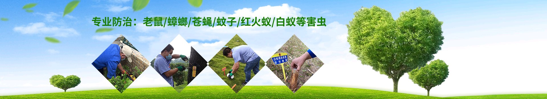 新闻中心-广州市益伦白蚁害虫防治有限公司