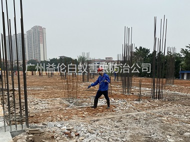 广州新建衡宇工程预防白蚁