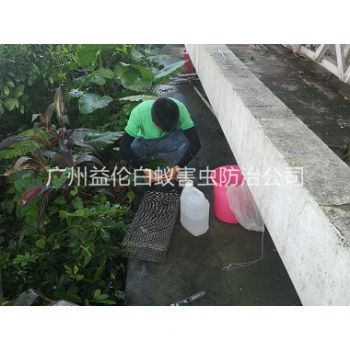 白云虫控站举行捕蛇