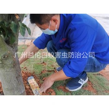 萝岗装置白蚁诱杀箱