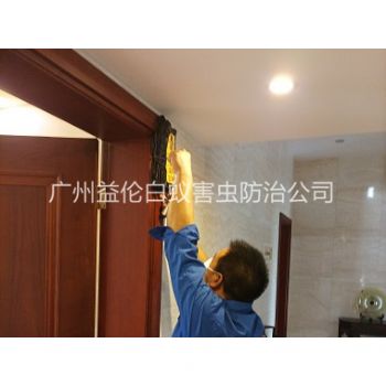 天河衡宇治白蚁工程