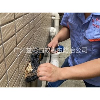 白云区修建灭治白蚁工程