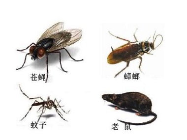 新闻中心-广州市益伦白蚁害虫防治有限公司