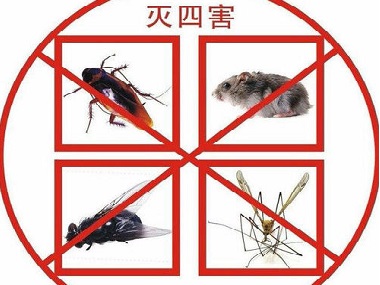新闻中心-广州市益伦白蚁害虫防治有限公司